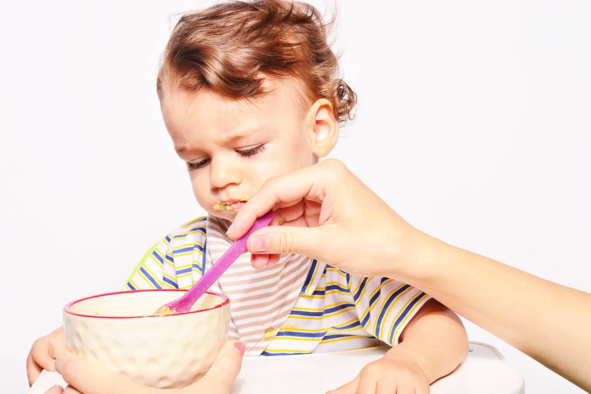 25 Toddler Meal Concepts for the Choosy Eater